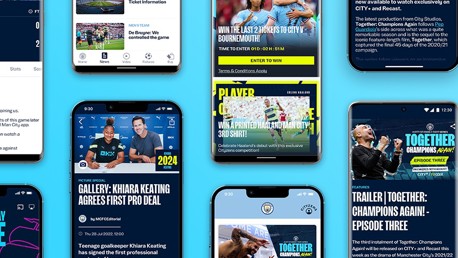 Training: Buzzing for the Bees